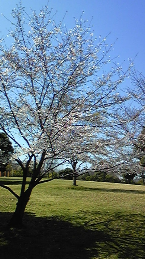 e0145606_144573.jpg