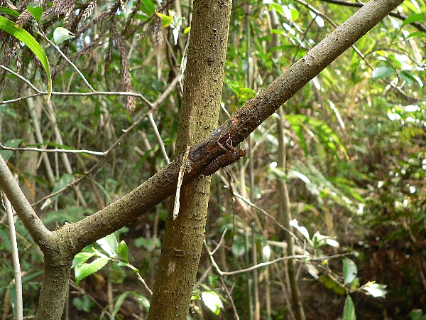 e0002314_16365754.jpg