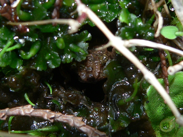 e0002314_16373422.jpg
