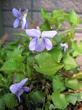 f0139520_2034167.jpg