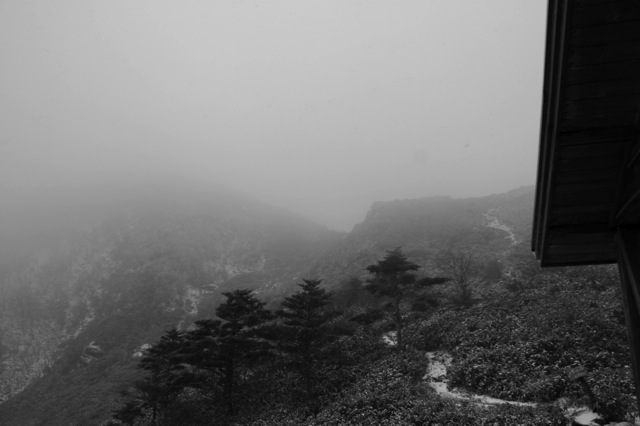 c0182221_23373823.jpg