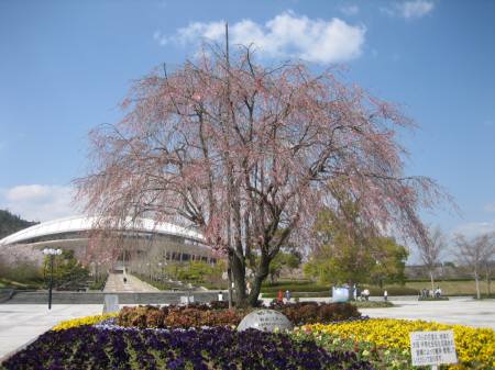 a0105023_14564681.jpg