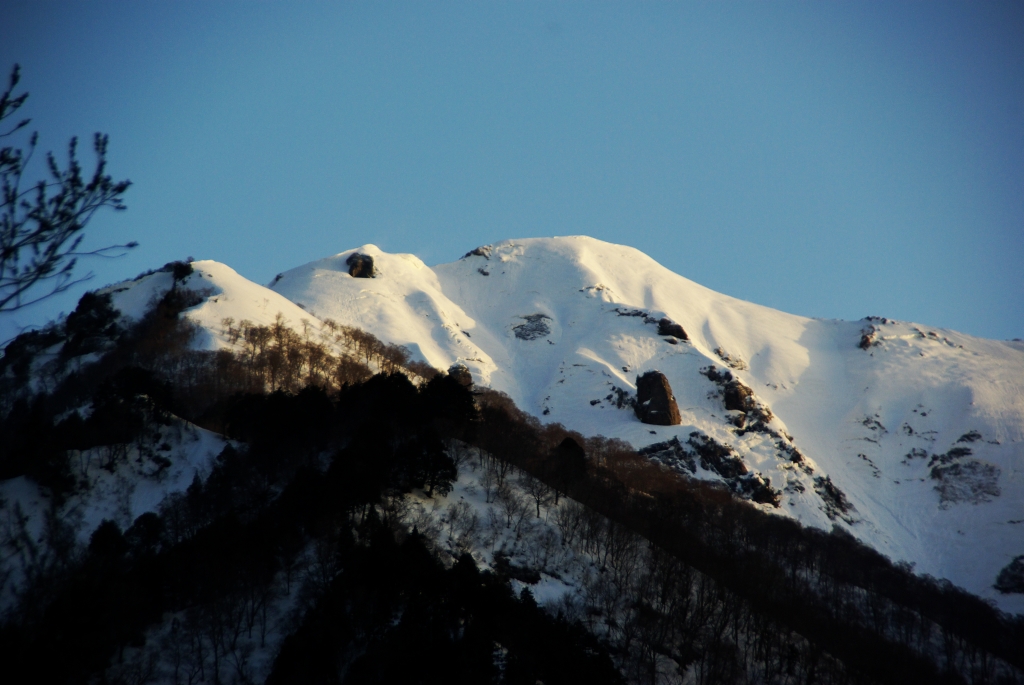 b0062024_20422248.jpg