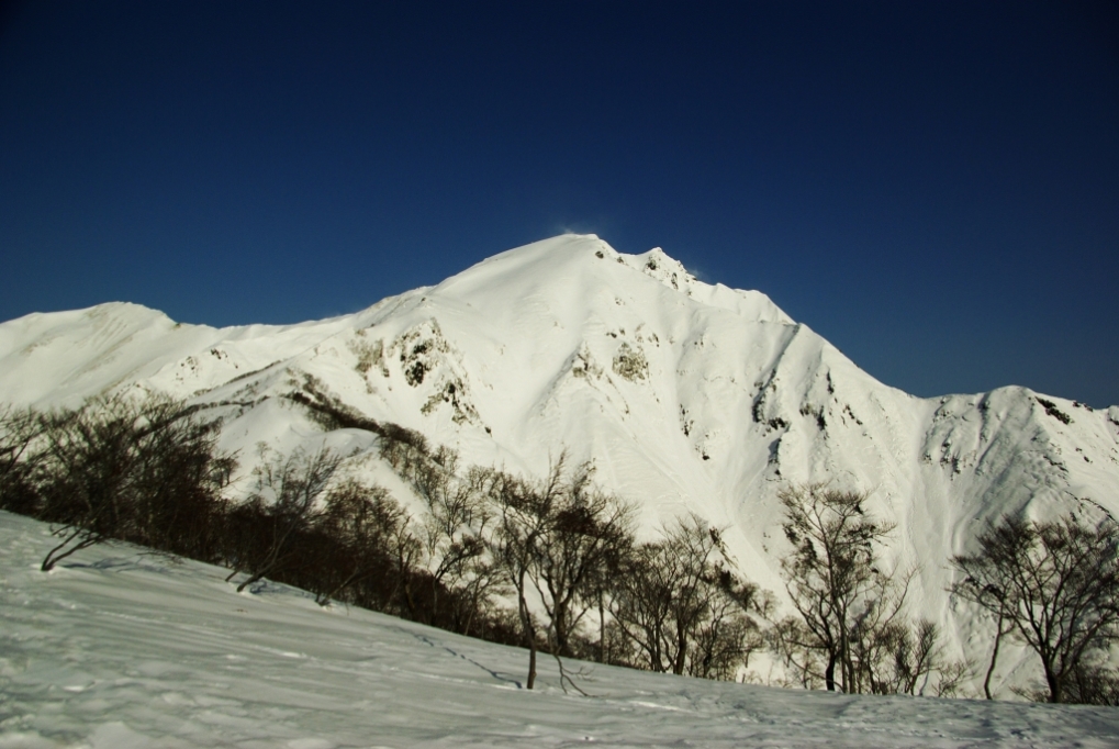 b0062024_20532151.jpg