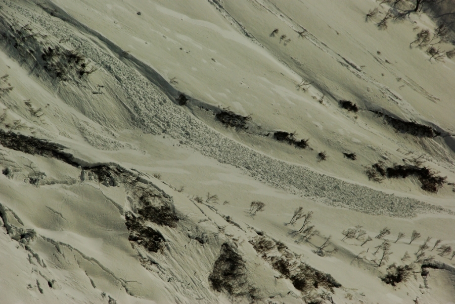 b0062024_2054728.jpg