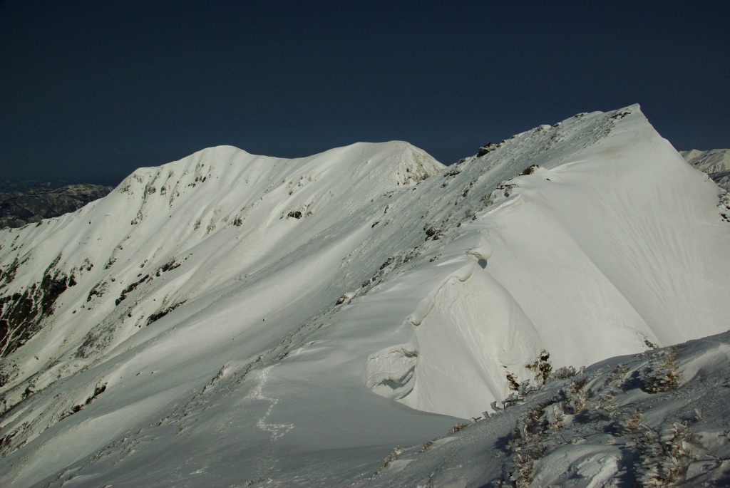 b0062024_21132194.jpg