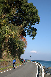 d0023725_1546171.jpg