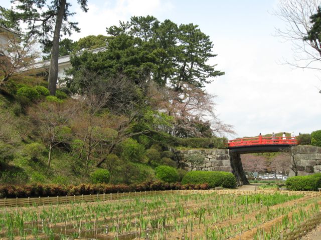 c0188527_1234071.jpg