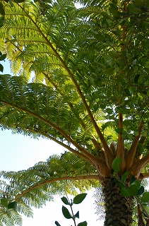 a0092129_0434878.jpg