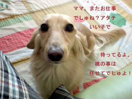 c0117831_21524976.jpg