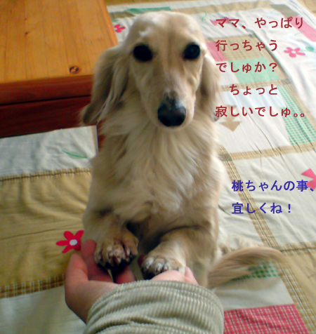c0117831_2153561.jpg