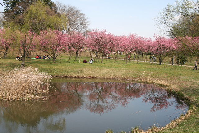 e0064133_021617.jpg