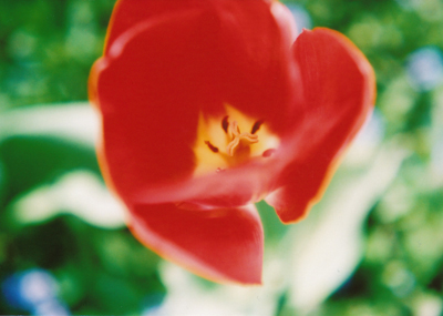 c0165137_2131315.jpg