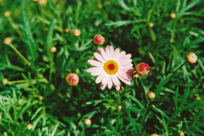 c0165137_21383939.jpg