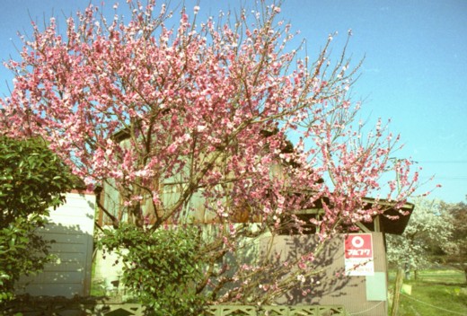 b0016043_22354126.jpg