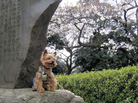c0033145_0442465.jpg