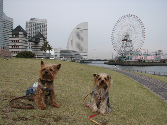 c0033145_0504293.jpg