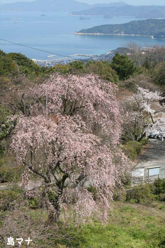 f0183846_1753443.jpg