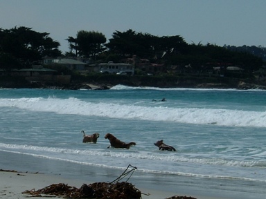 c0078451_9231575.jpg