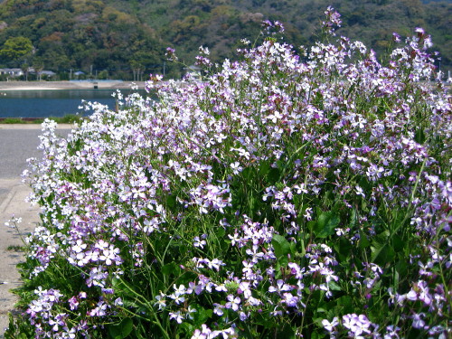 c0179351_1958964.jpg