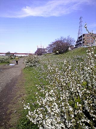 c0179152_20483010.jpg