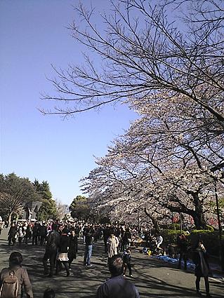 c0179152_22441256.jpg