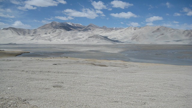 a0101253_1811167.jpg