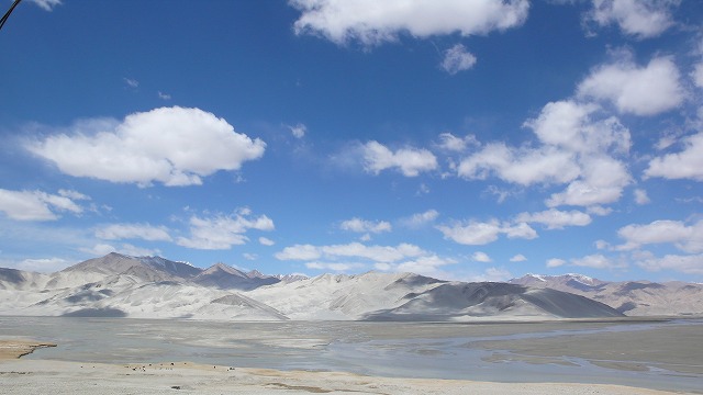 a0101253_18345256.jpg