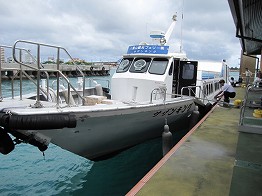d0031853_4262899.jpg