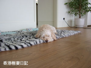 f0190653_1721097.jpg