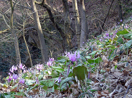 a0001354_21554330.jpg