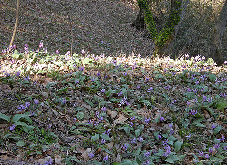 a0001354_21574240.jpg