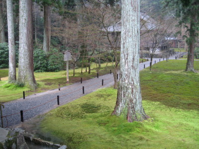 e0113254_1234286.jpg