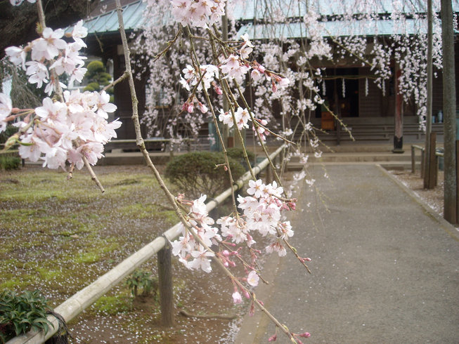 a0088456_21401724.jpg