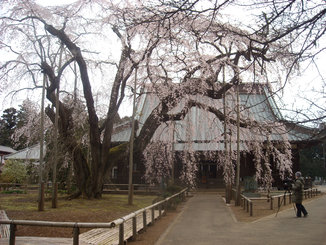 a0088456_21434713.jpg