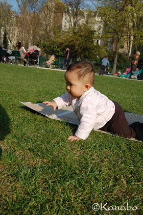 f0099556_534290.jpg