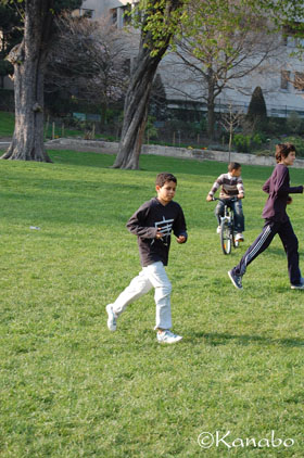 f0099556_554531.jpg