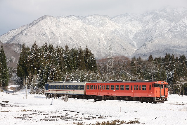 b0002858_0261890.jpg