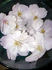 d0029958_1927467.jpg