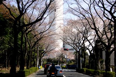 f0021558_744298.jpg