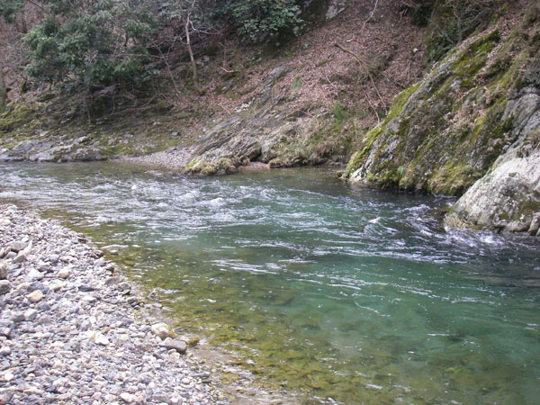 b0053660_9581971.jpg
