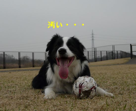 a0100564_712515.jpg