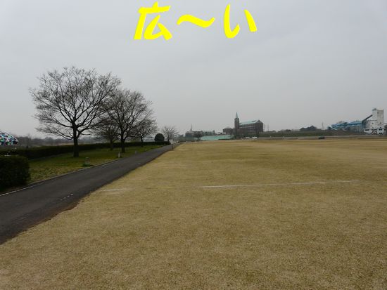 a0100564_725657.jpg