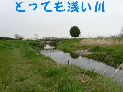a0100564_744430.jpg