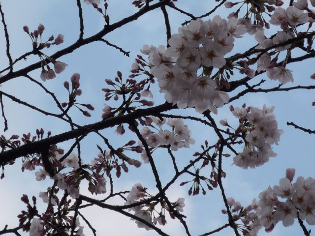 b0141664_12251065.jpg