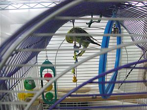 f0196665_0231981.jpg