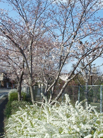 b0092475_22415098.jpg
