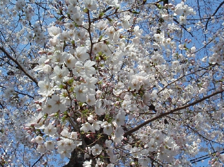 b0092475_2242192.jpg