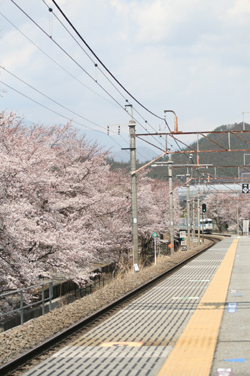 c0156679_042817.jpg