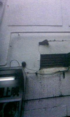 f0100480_2149586.jpg